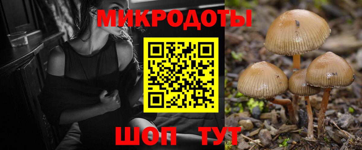 Псилоцибиновые грибы MAGIC MUSHROOMS  Псилоцибиновые грибы Psilocybe  Вход с VPN  Тула 
