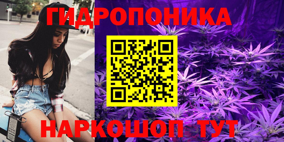 Бошки Шишки план Тула